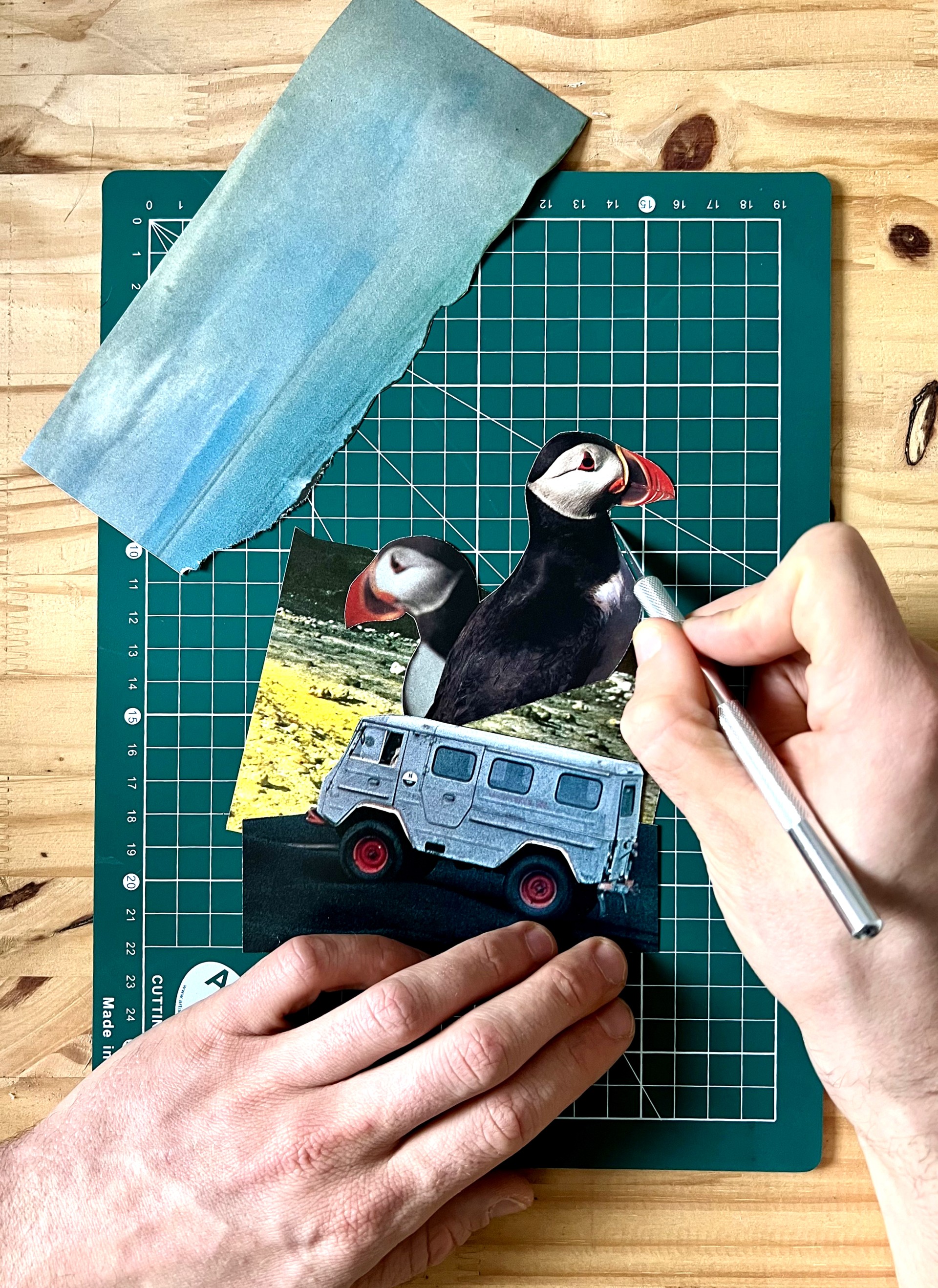 o-ptits-coins-atelier-d-illustration-en-collage_collages2.jpg