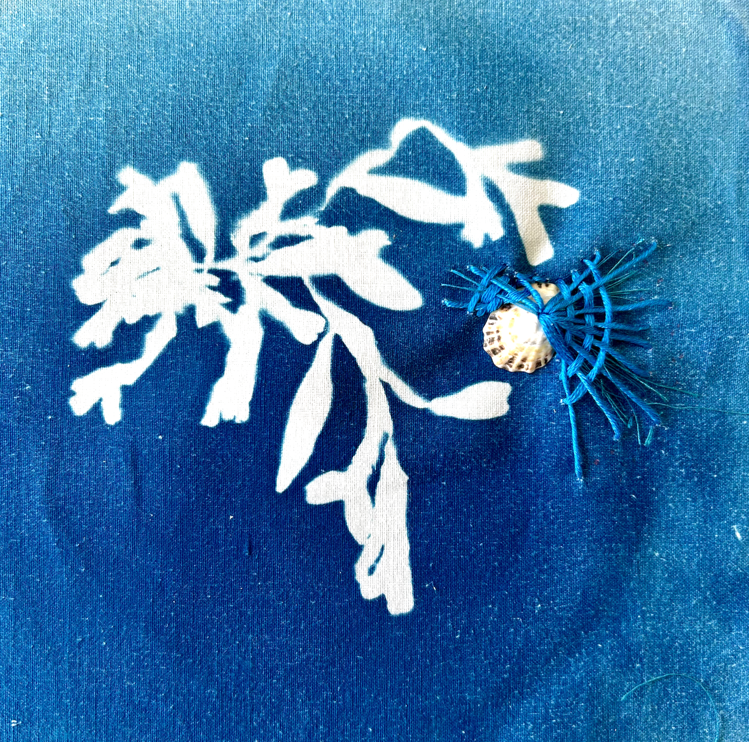 o-ptits-coins-broderie-sur-cyanotype_capture-decran-2026-04-13-a-20.01.21.png