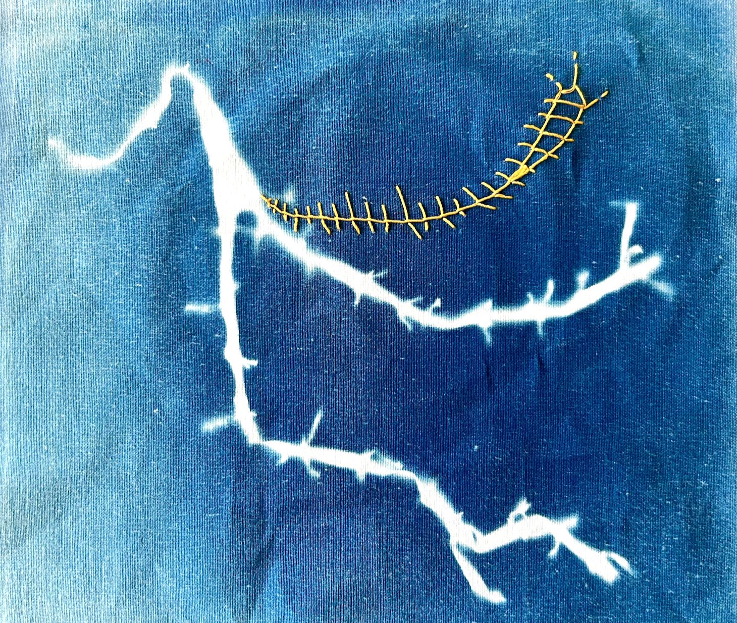 o-ptits-coins-broderie-sur-cyanotype_capture-decran-2026-04-13-a-20.01.11.png