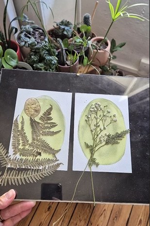 o-ptits-coins-cyanotype_cyanotype_la_lavandiere4.png