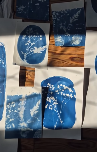 o-ptits-coins-cyanotype_cyanotype_la_lavandiere3.png