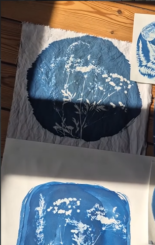 o-ptits-coins-cyanotype_cyanotype_la_lavandiere2.png