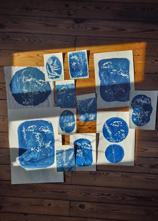o-ptits-coins-cyanotype_cyanotype_la_lavandiere1.png