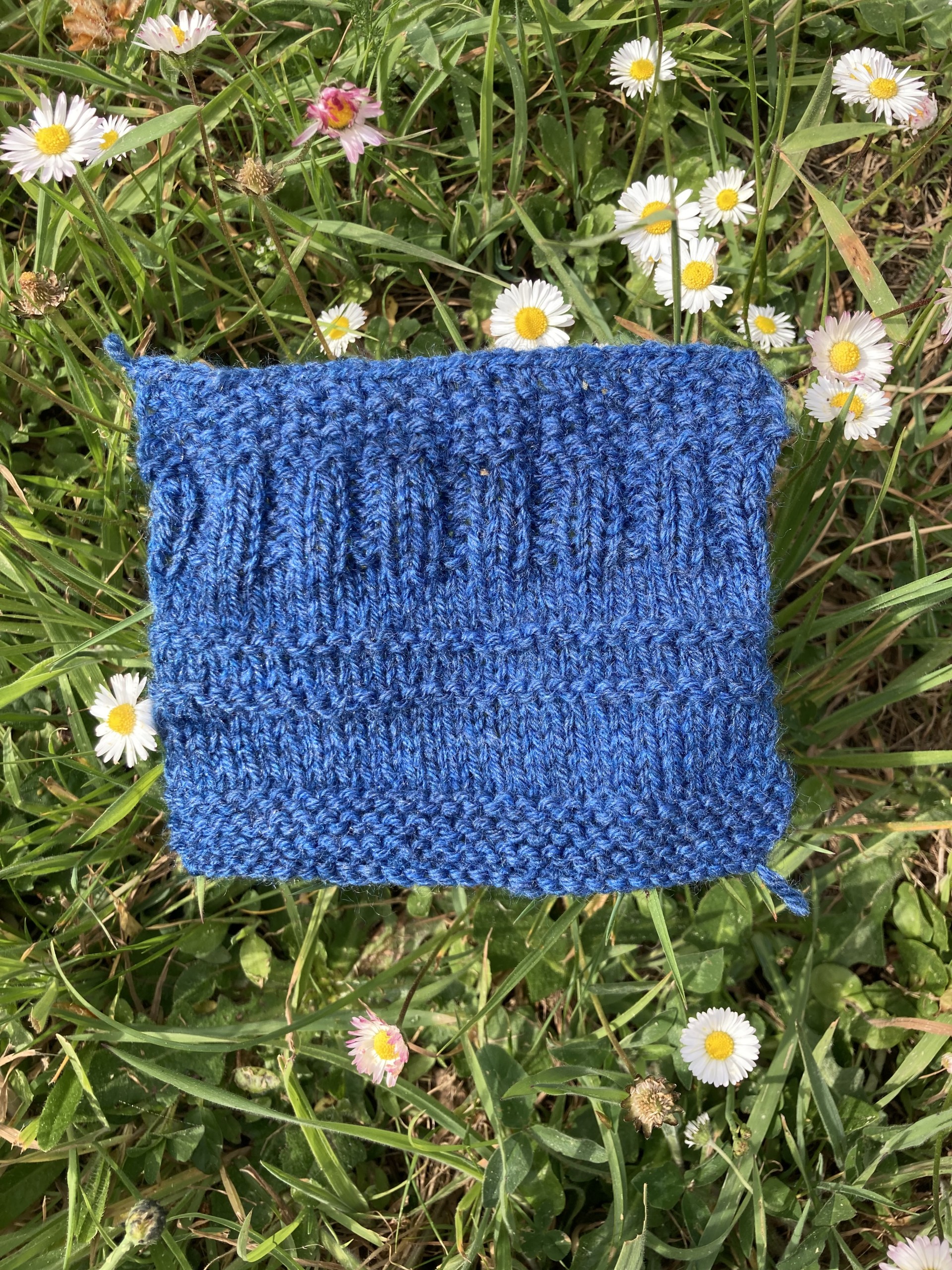 o-ptits-coins-initiation-tricot_img_6102.jpg
